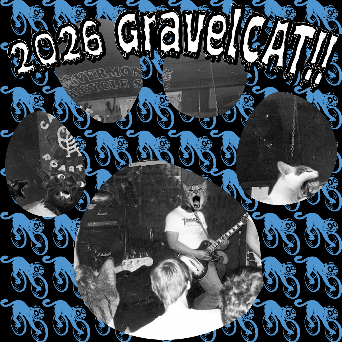 GravelCat Weather Update